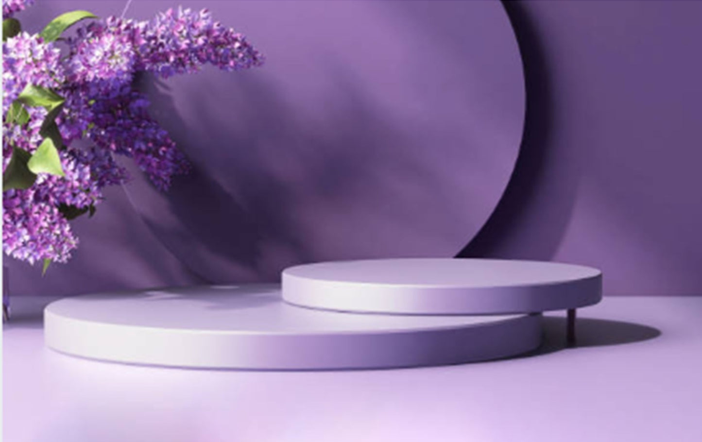 Color Morado Purpura